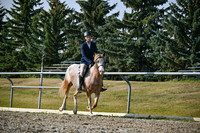 2025 - Petra - Harvest Horse Show - Sunday, September 14th 10439