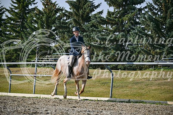 2025 - Petra - Harvest Horse Show - Sunday, September 14th 10439