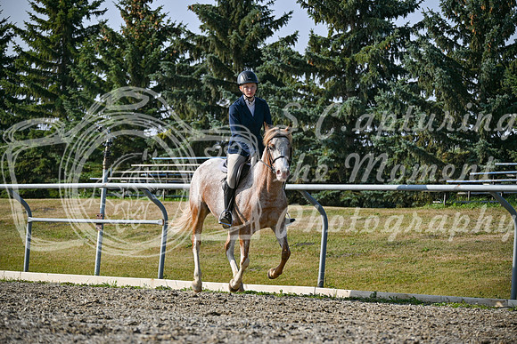 2025 - Petra - Harvest Horse Show - Sunday, September 14th 10440