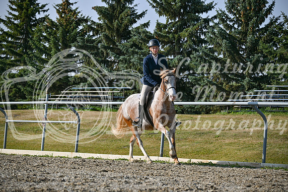 2025 - Petra - Harvest Horse Show - Sunday, September 14th 10442