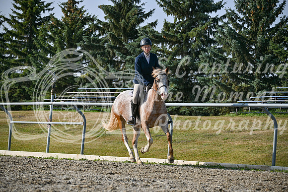 2025 - Petra - Harvest Horse Show - Sunday, September 14th 10441