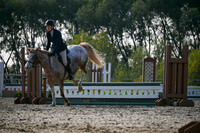 2025 - Petra - Harvest Horse Show - Sunday, September 14th 10443