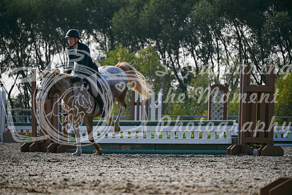 2025 - Petra - Harvest Horse Show - Sunday, September 14th 10443