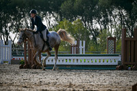 2025 - Petra - Harvest Horse Show - Sunday, September 14th 10444