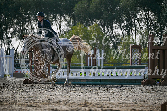 2025 - Petra - Harvest Horse Show - Sunday, September 14th 10444