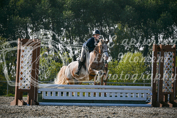 2025 - Petra - Harvest Horse Show - Sunday, September 14th 10447