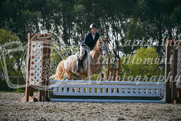2025 - Petra - Harvest Horse Show - Sunday, September 14th 10446