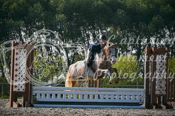2025 - Petra - Harvest Horse Show - Sunday, September 14th 10448