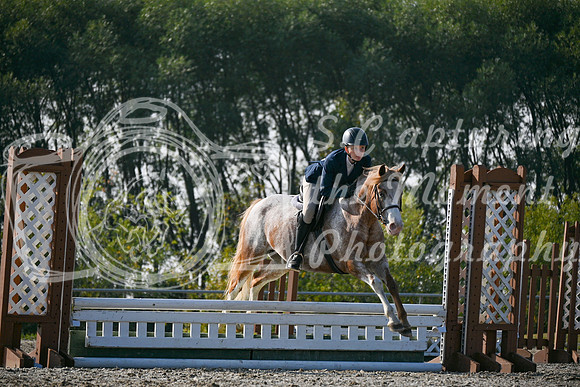 2025 - Petra - Harvest Horse Show - Sunday, September 14th 10449