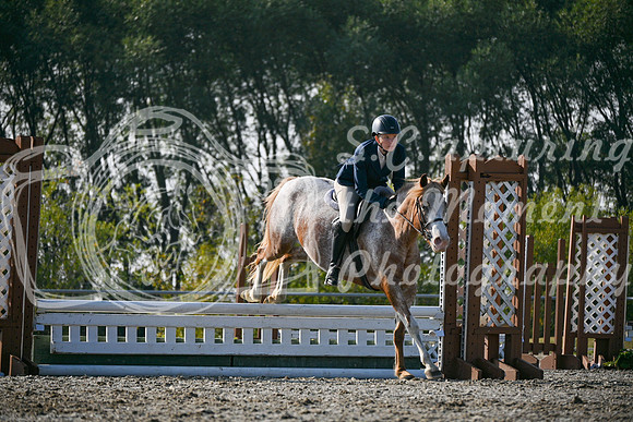 2025 - Petra - Harvest Horse Show - Sunday, September 14th 10450