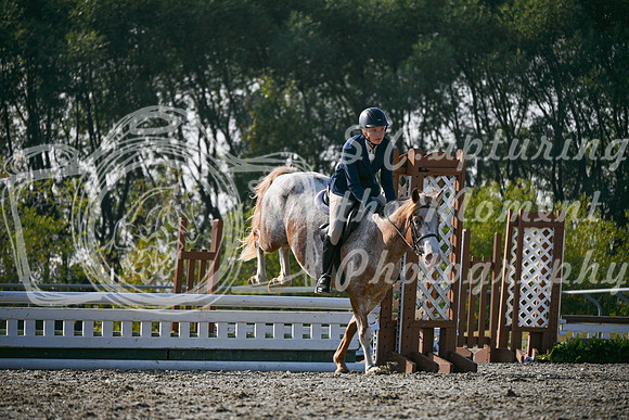 2025 - Petra - Harvest Horse Show - Sunday, September 14th 10451