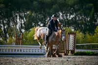 2025 - Petra - Harvest Horse Show - Sunday, September 14th 10452