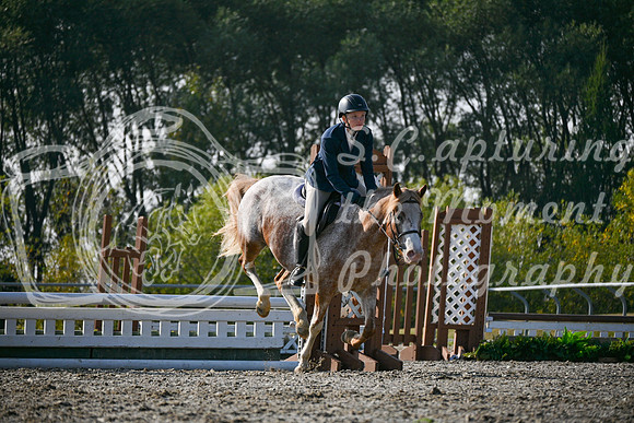 2025 - Petra - Harvest Horse Show - Sunday, September 14th 10452