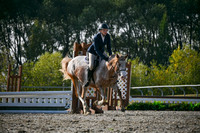 2025 - Petra - Harvest Horse Show - Sunday, September 14th 10453