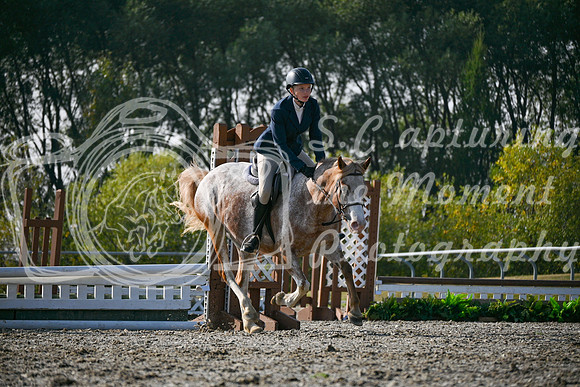 2025 - Petra - Harvest Horse Show - Sunday, September 14th 10453