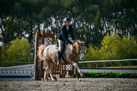 2025 - Petra - Harvest Horse Show - Sunday, September 14th 10454