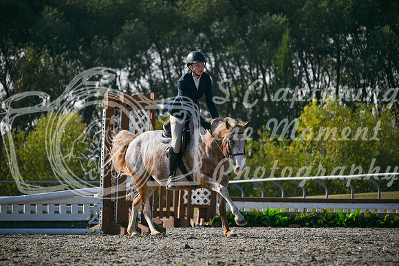 2025 - Petra - Harvest Horse Show - Sunday, September 14th 10454