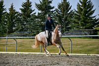 2025 - Petra - Harvest Horse Show - Sunday, September 14th 10455