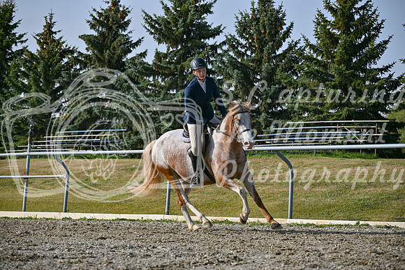 2025 - Petra - Harvest Horse Show - Sunday, September 14th 10455