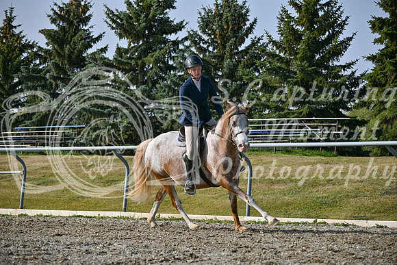 2025 - Petra - Harvest Horse Show - Sunday, September 14th 10456