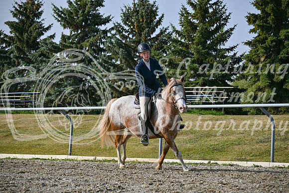 2025 - Petra - Harvest Horse Show - Sunday, September 14th 10457