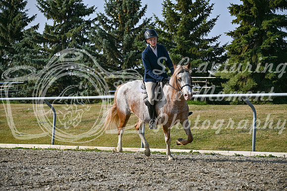 2025 - Petra - Harvest Horse Show - Sunday, September 14th 10458