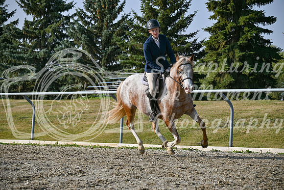 2025 - Petra - Harvest Horse Show - Sunday, September 14th 10459