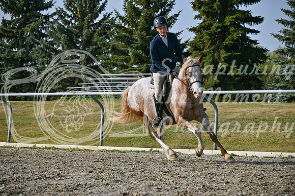 2025 - Petra - Harvest Horse Show - Sunday, September 14th 10460