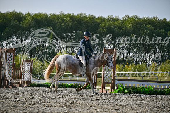 2025 - Petra - Harvest Horse Show - Sunday, September 14th 10462