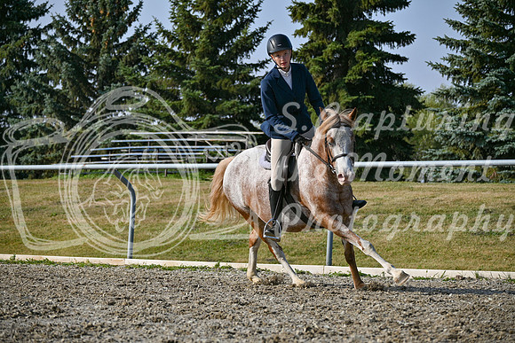 2025 - Petra - Harvest Horse Show - Sunday, September 14th 10461