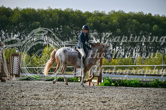 2025 - Petra - Harvest Horse Show - Sunday, September 14th 10463