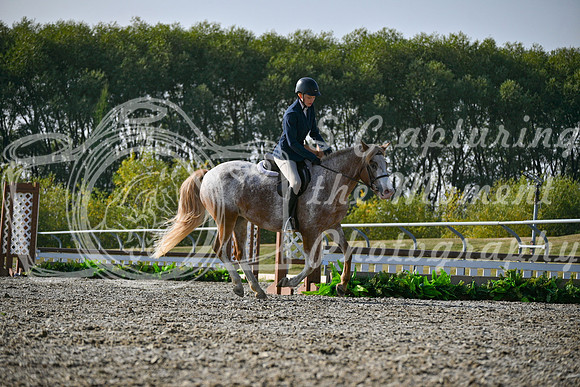 2025 - Petra - Harvest Horse Show - Sunday, September 14th 10464