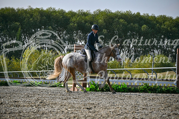 2025 - Petra - Harvest Horse Show - Sunday, September 14th 10465
