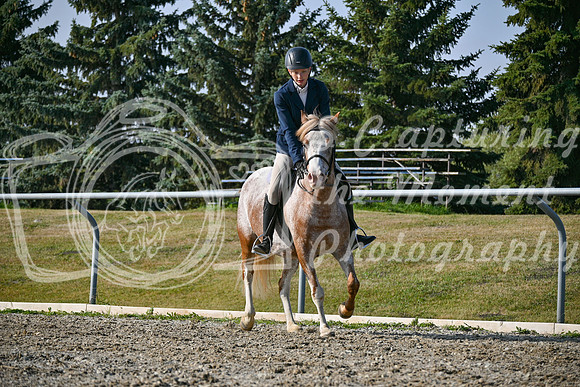 2025 - Petra - Harvest Horse Show - Sunday, September 14th 10466