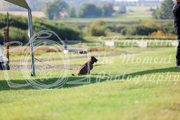 2025 - Mara - Fall Finale - Saturday September 13th - 01479