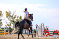 2025 - Mara - Fall Finale - Saturday September 13th - 14677