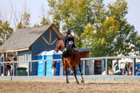 2025 - Mara - Fall Finale - Saturday September 13th - 14751