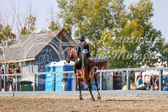 2025 - Mara - Fall Finale - Saturday September 13th - 14751
