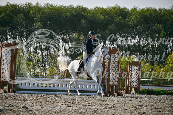 2025 - Petra - Harvest Horse Show - Sunday, September 14th 10604