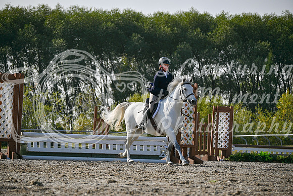 2025 - Petra - Harvest Horse Show - Sunday, September 14th 10605