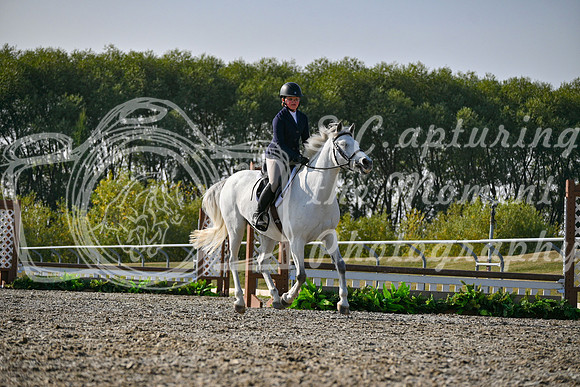 2025 - Petra - Harvest Horse Show - Sunday, September 14th 10607