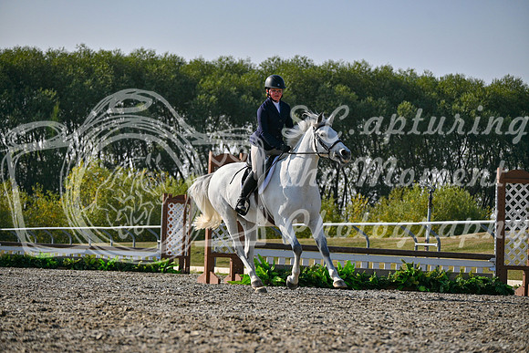 2025 - Petra - Harvest Horse Show - Sunday, September 14th 10608