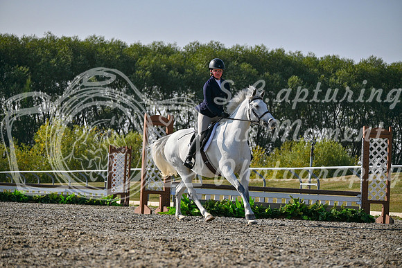 2025 - Petra - Harvest Horse Show - Sunday, September 14th 10609