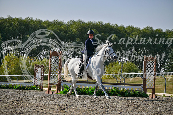 2025 - Petra - Harvest Horse Show - Sunday, September 14th 10610