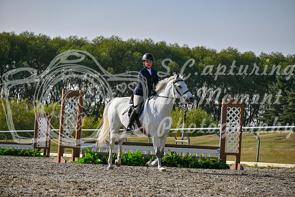 2025 - Petra - Harvest Horse Show - Sunday, September 14th 10611