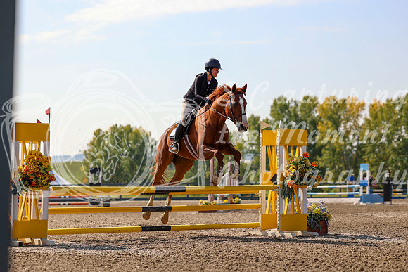 2025 - Mara - Fall Finale - Saturday September 13th - 11479
