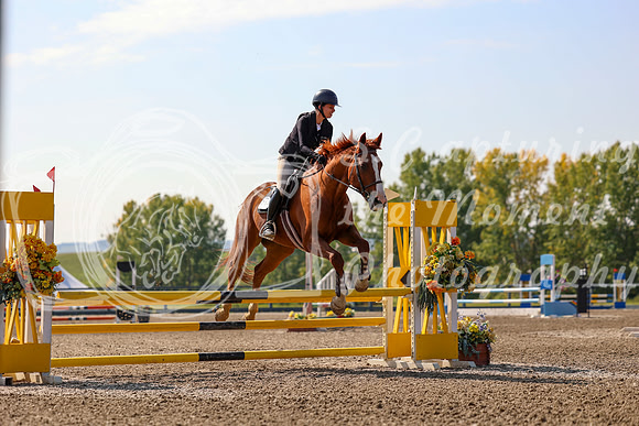 2025 - Mara - Fall Finale - Saturday September 13th - 11480
