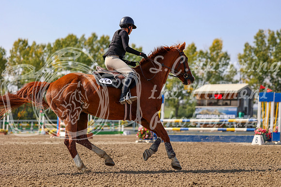 2025 - Mara - Fall Finale - Saturday September 13th - 11488