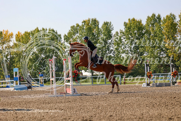2025 - Mara - Fall Finale - Saturday September 13th - 11492