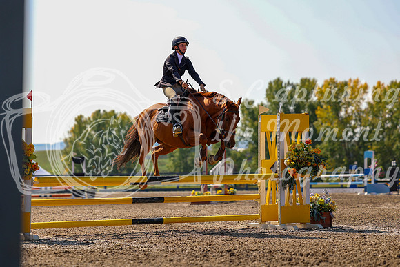 2025 - Mara - Fall Finale - Saturday September 13th - 12101